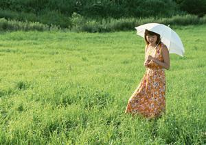高松のシロアリ駆除業者の行う耐震補強