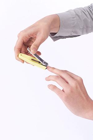 総合的な運輸サービスを展開します